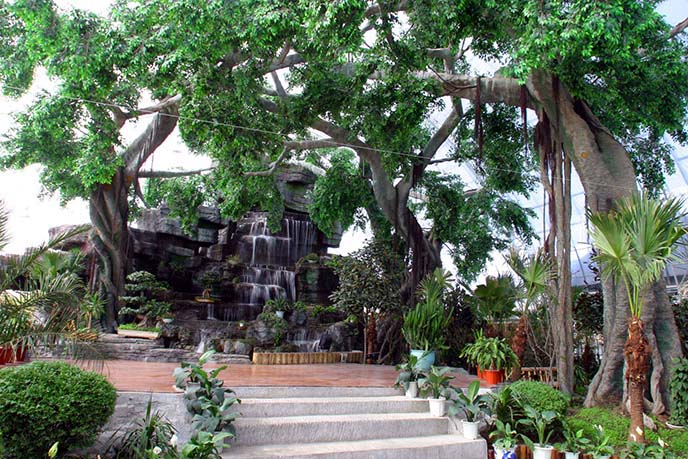 大型仿真榕樹制作的設計工藝方法，國際頂尖水平