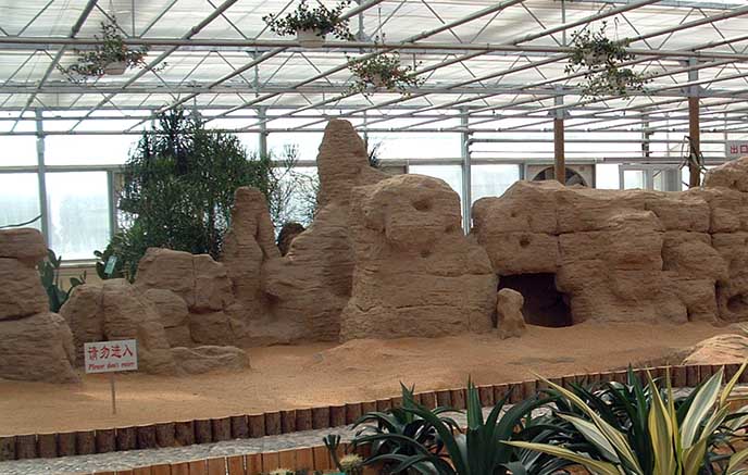 北京水泥假山制作－北京花卉大觀園內水泥假山制作