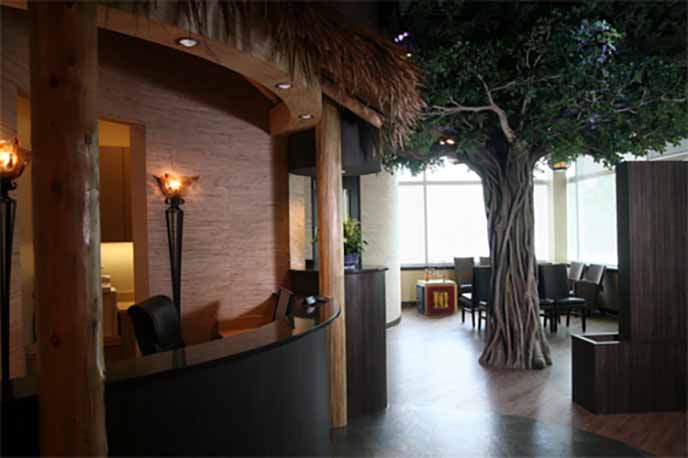 寧夏銀川仿真榕樹給室內環境增光添彩，宛若室外大森林