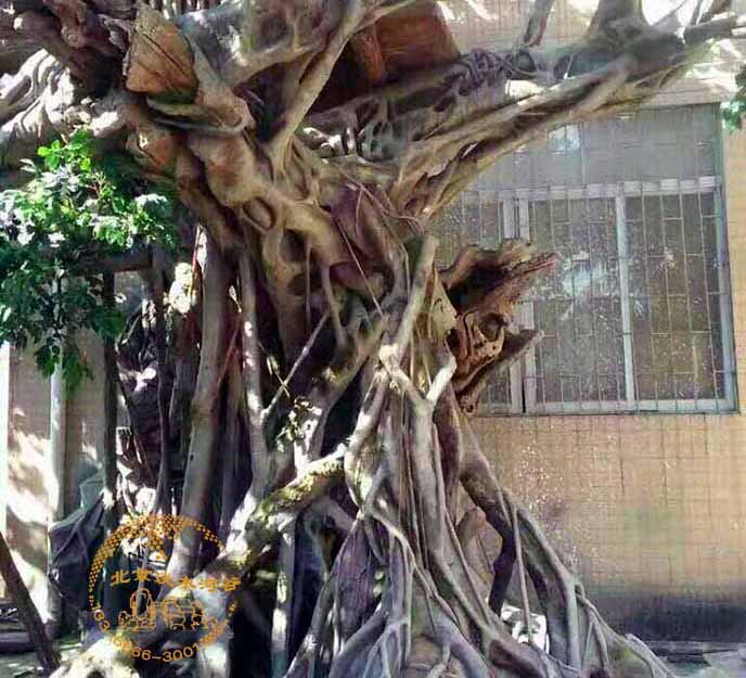 廣東東莞仿真榕樹制作和真的榕樹一樣，外觀可以假亂真