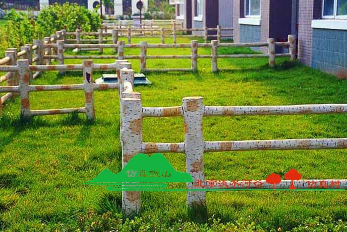 仿真白樺樹專業制作，規模化制作仿真白樺樹的大型廠家