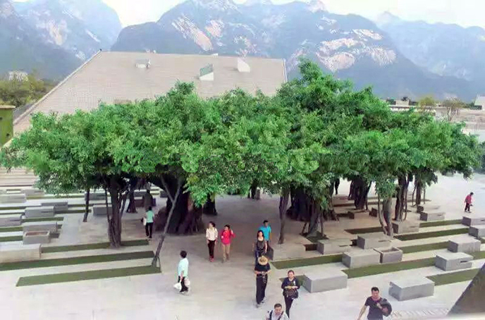 大型仿真榕樹廠家為您制作各種國際頂尖水準(zhǔn)的高端仿真樹