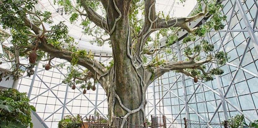 喜歡制作仿真樹喜歡仿真樹攝影他能發現假樹的靈魂