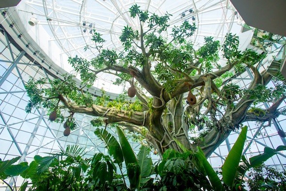 8張假樹造型圖片這么漂亮是真的吧