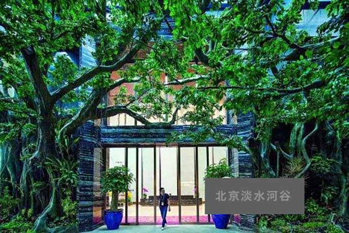 仿真榕樹高級品牌是這家公司