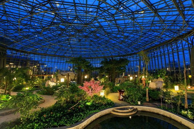 仿真樹圖片大全這里全至于全到什么程度自己來看