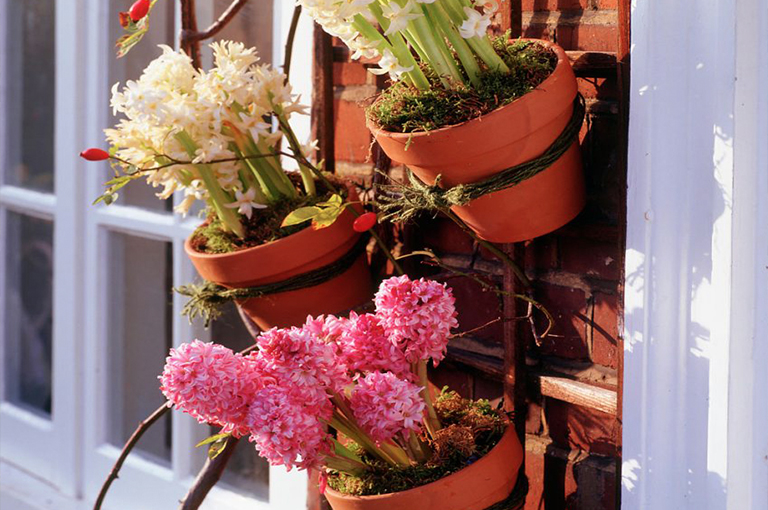 北京廠家關于植物花園柵欄／圍欄的設計構想（中）