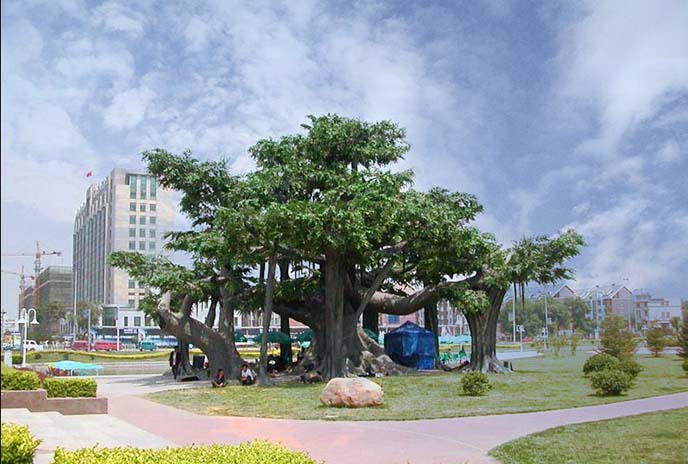 仿真樹的出現能增加美觀性，提高整體形象