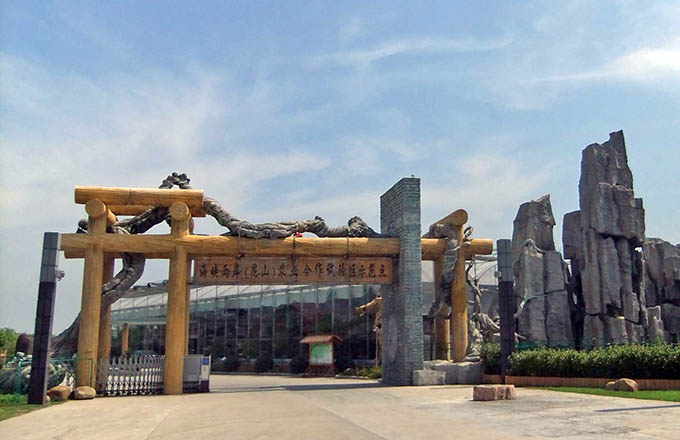 在設計仿真樹大門的時候有哪些考慮因素？