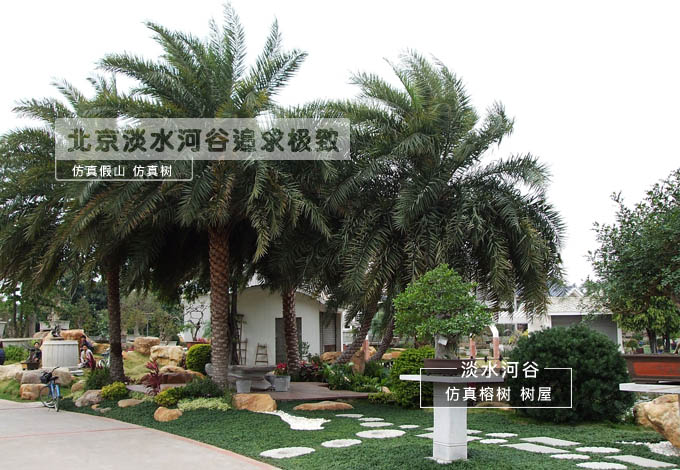 10米大王椰子樹價格 廈門仿真樹廠家