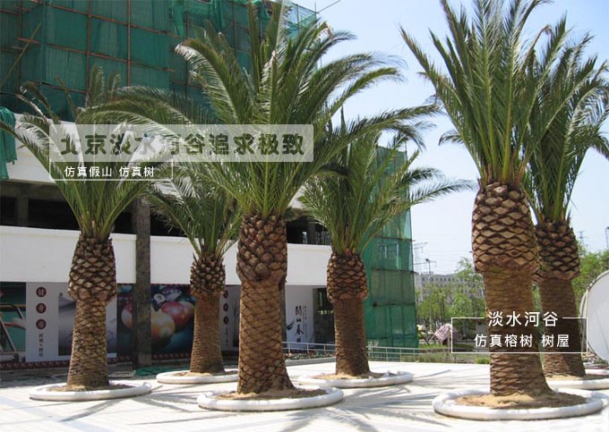 仿真海棗樹.jpg 仿真海棗樹