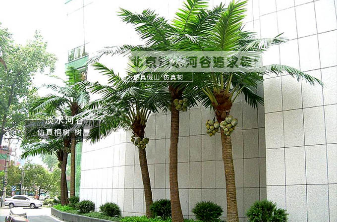 仿真椰子樹(shù).jpg 仿真椰子樹(shù)