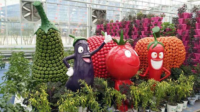 農業嘉年華制作.jpg 農業嘉年華制作