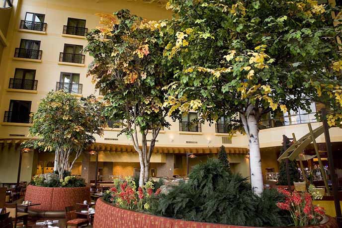 仿真白樺樹.jpg 仿真白樺樹