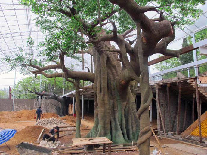 仿真榕樹.jpg 仿真榕樹