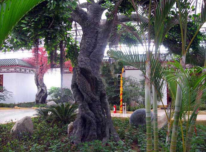 仿真榕樹.jpg 仿真榕樹