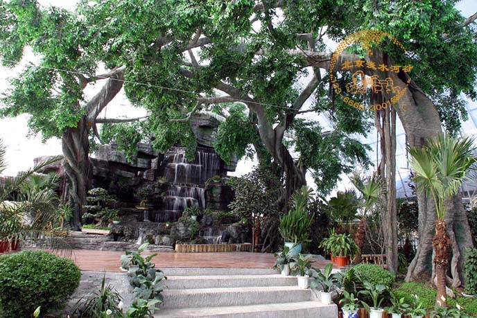 仿真榕樹.jpg 仿真榕樹