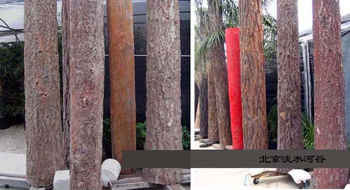 仿真樹.jpg 仿真樹