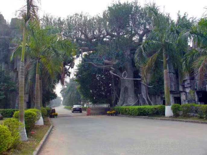 仿真樹大門.jpg 仿真樹大門