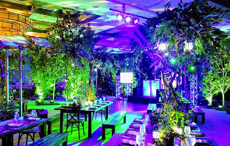 1584847945503842.jpg alfond-inn-mitzvah-led-Starlite-Drape-and-LED-Par-down-lights-green-led-votive-lights.jpg