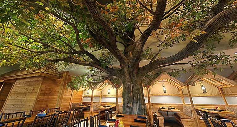 1584866874434118.jpg GreatWolfLodgePoconoMountainVR.jpg