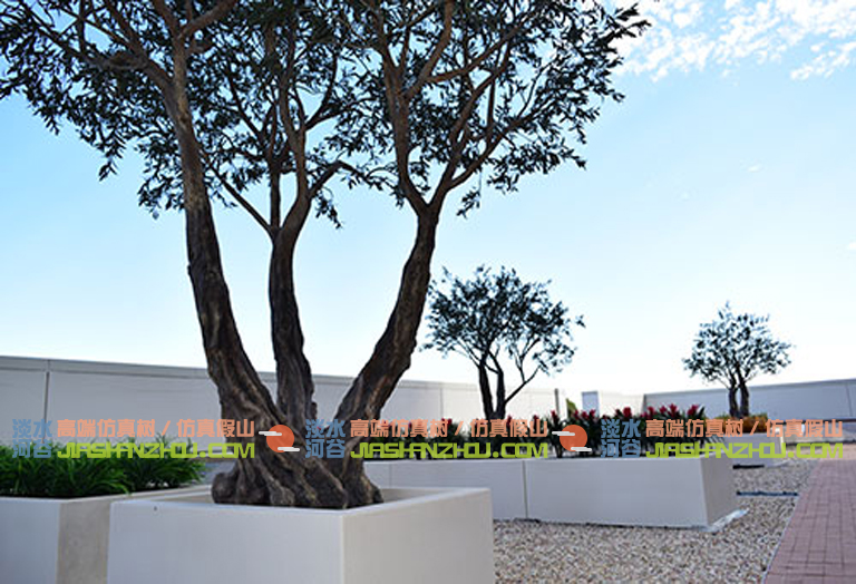 1584867024629641.jpg 157.jpg