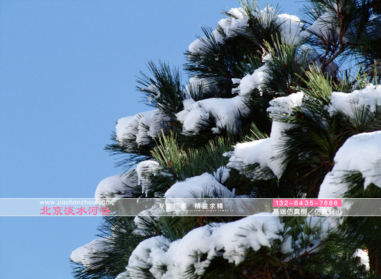 仿真樹.jpg 仿真樹