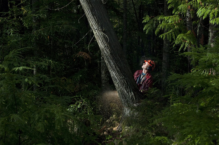 仿真樹(shù).jpg 仿真樹(shù)