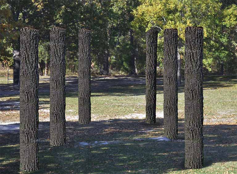 仿真軟樹皮.jpg 仿真軟樹皮