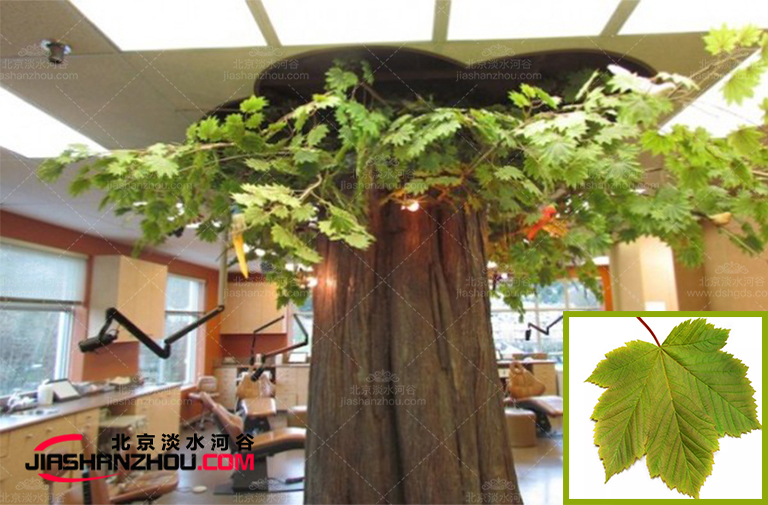 仿真樹.jpg 仿真樹