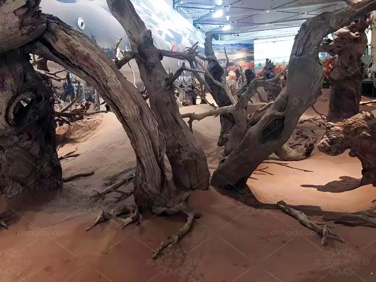 仿真樹.jpeg 仿真樹