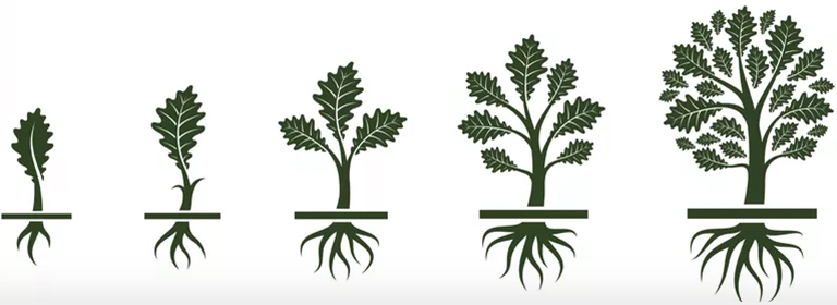 樹形結(jié)構(gòu).jpg 樹形結(jié)構(gòu)