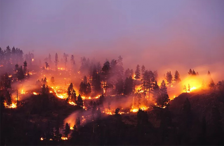 美國野火狀況報(bào)告和地圖