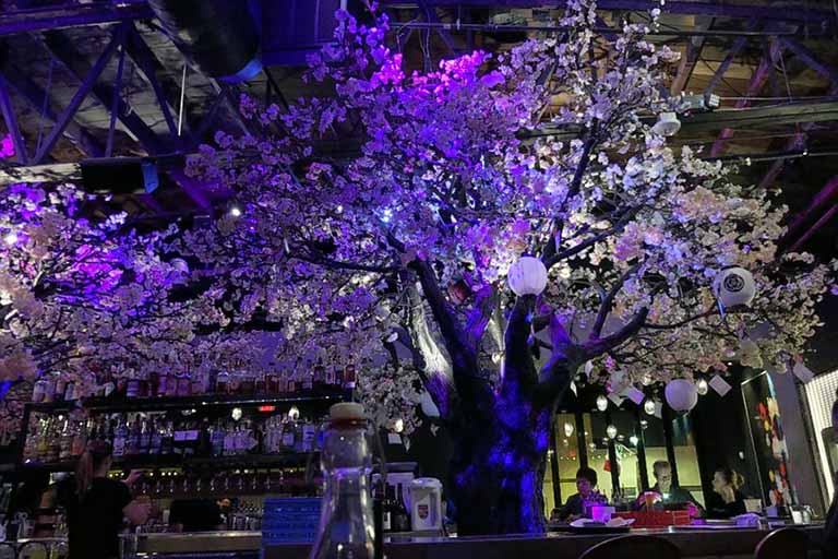 仿真樹(shù).jpg 仿真樹(shù)