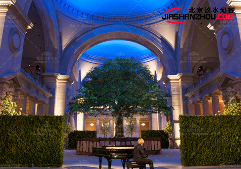 仿真樹(shù).jpg 仿真樹(shù)