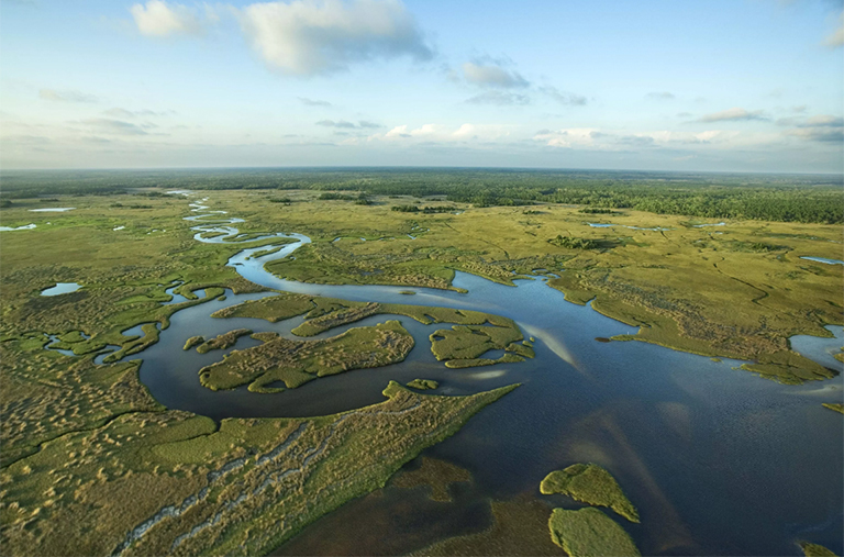 佛羅里達大沼澤地的鳥瞰圖
