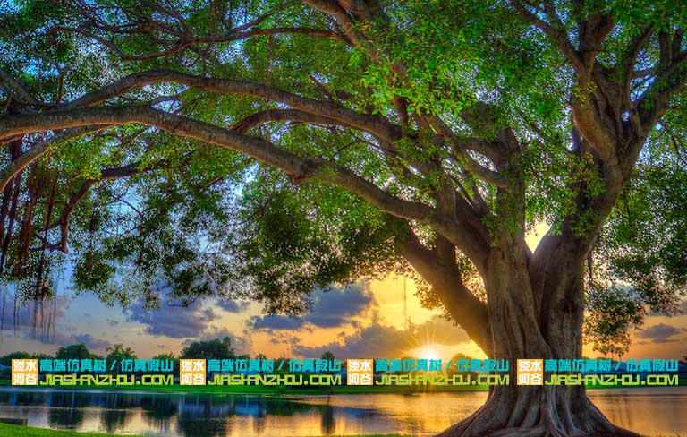 仿真樹設計制作.jpg 仿真樹設計制作