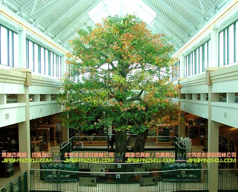 1602578176166378.jpg 大樹(shù)16.jpg