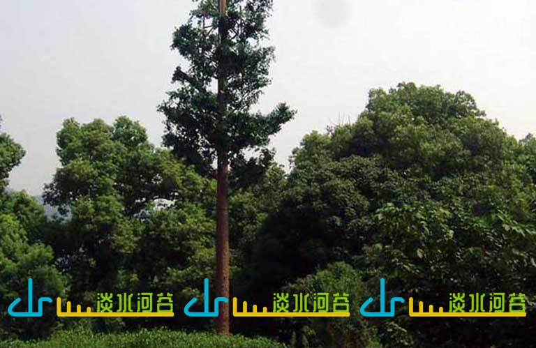 1604451917548124.jpg 1584603902837546.jpg