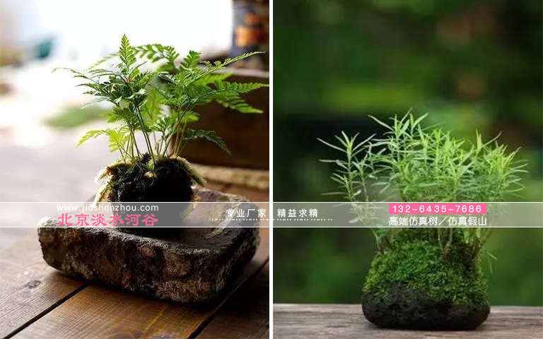 仿真樹(shù).jpg 仿真樹(shù)