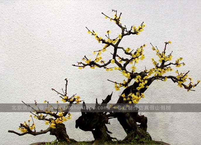 仿真樹.jpeg 仿真樹