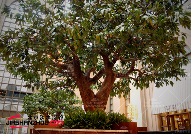 仿真榕樹(shù).jpg 仿真榕樹(shù)