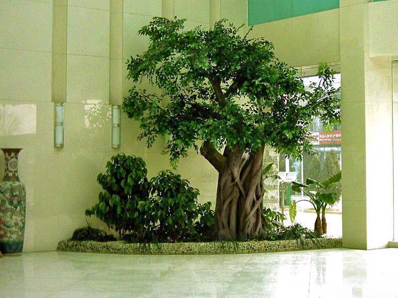 仿真樹工程.jpg 仿真樹工程