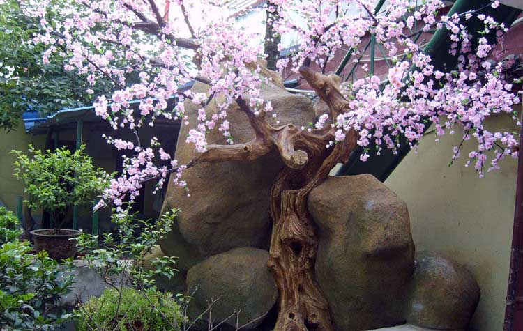 1614166430557782.jpg 0_yuanlinjiashan_1818_20160708170721.jpg