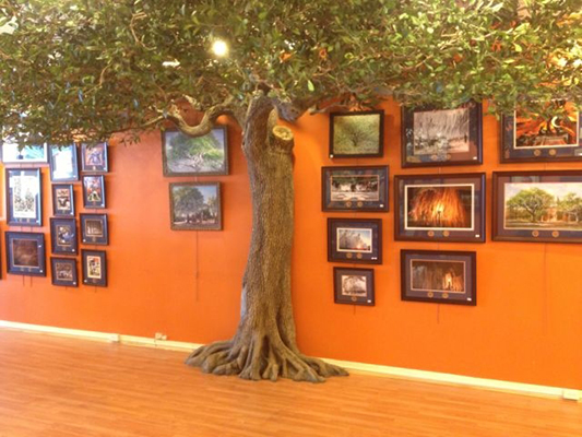 1614166466410885.jpg 貼墻仿真樹5.jpg