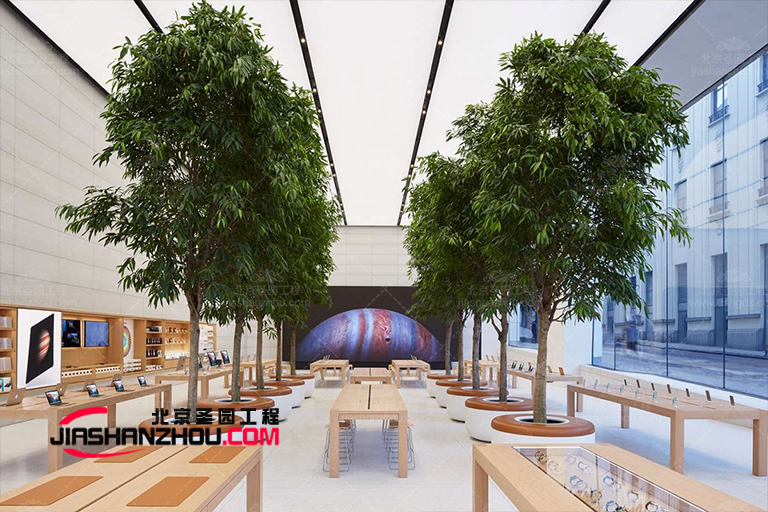 仿真樹(shù).jpg 仿真樹(shù)