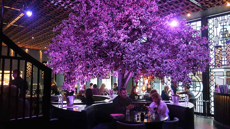 仿真樹.jpg 仿真樹.jpg